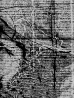 K I 035
<br/>
Maria slapend bij het Kind; Jozef gewekt door een engel
<br/>
<em>Lanfranco, Giovanni (1582-1647)</em>